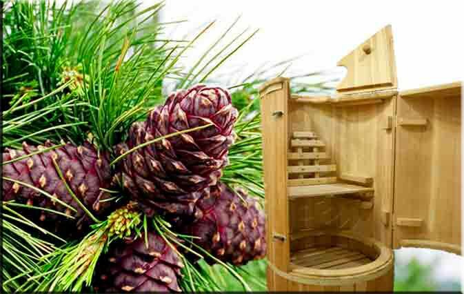 Кедровая бочка kedrovaya-bochka