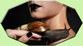 Ахатина для тела